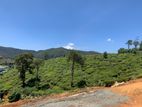 Land for sale In Nuwaraeliya