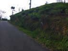 Land for Sale in Nuwaraeliya