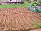 Land for sale in nuwaraeliya