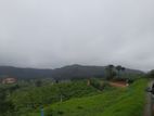 Land for Sale in Nuwaraeliya, Meepilimana