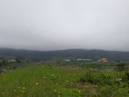 Land for sale in Nuwaraeliya, Meepilimana