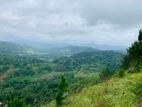 Land for Sale in Nuwaraeliya Pudaluoya