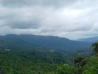 Land for sale in Nuwaraeliya Pudaluoya