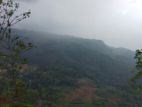 Land for sale in Nuwaraeliya Pudaluoya