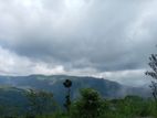 Land for sale in Nuwaraeliya Pudaluoya