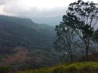 Land for Sale in Nuwaraeliya Pudaluoya