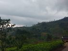 Land For Sale In Nuwaraeliya Pudaluoya