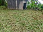 Land for Sale in Off Kalapauwawa Road, Angoda