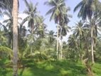 Land for Sale in Olaboduwa