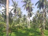 Land for Sale in Olaboduwa
