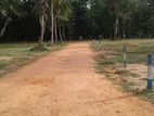 Land for Sale in Old Kandy Road,paladikulama