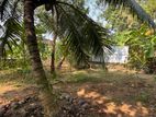 Land for Sale in Opeanayaka