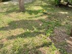 Land for Sale in Oruthota Road Gampaha