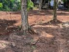 Land for Sale in Oruthota Road Gampaha