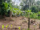 Land for Sale in Gampaha