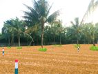 Land For Sale in පානදුර - නල්ලූරුව