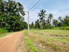 Land For Sale in Padeniya