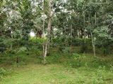 Land for Sale in Padukka