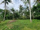 Land for sale in Padukka