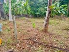 Land for Sale in Padukka