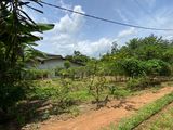 Land for Sale in Padukka