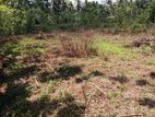 Land for Sale in Padukka