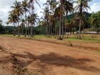 Land for Sale in Padukka Horana