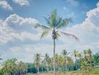 Land for sale in Padukka Malagala