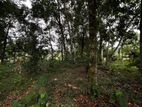 Land For Sale in Padukka (SSPL-146)