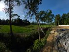 Land for Sale in Padukka Town