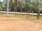 Land for Sale In Padukka Udumulla