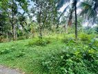 Land for Sale in Padukka, Watareka