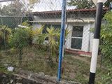 Land for Sale in Pagoda Road