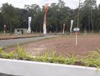 Land for Sale in Palagama- 6.85 Perches plots