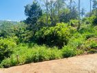 Land for Sale in Palapathwala