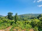 land for sale in palapathwala