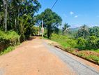 Land for Sale in Palapathwala