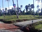 Land for Sale in Palapathwela