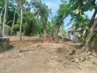 Land for Sale in Palathota, Kalutara