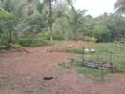 Land for Sale in Palatota 26.5 P