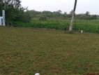 Land for Sale in Palatota