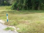 Land for Sale in Palatota