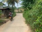 LAND FOR SALE IN PALAWATHTHA