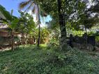 Land for Sale in paliyagoda