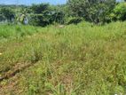 Land for Sale in Paliyagoda