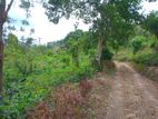 Land for Sale in Pallekotuwa Road Hadeniya