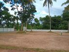 Land for Sale in Pallewatta