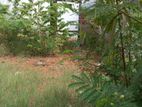 Land for Sale in Palliyawatta, Wattala