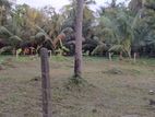 Land for Sale in Pamunugama - 28 P