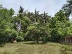 Land for Sale in Pamunugama